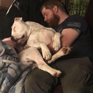 Meet your Posher, Douglas